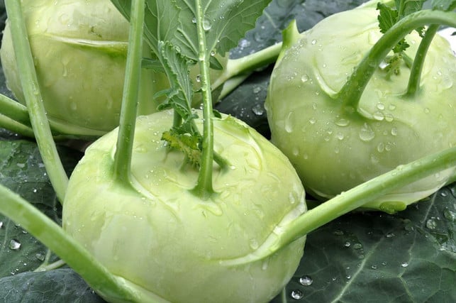 wenn-der-kohlrabi-frisch-jung-und-sauber-ist-kan-cc0-pixabay-lucas_holiday-220601_download Wenn der Kohlrabi frisch, jung und sauber ist, kannst du ihn ganz kochen und musst die Schale nicht einmal entfernen.