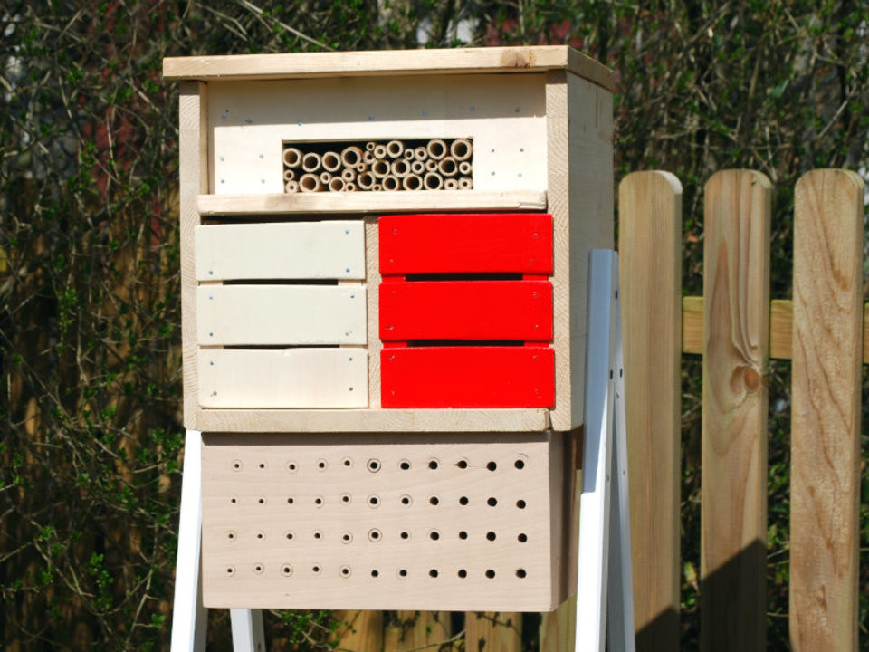 Insektenhotel bauen: Bauanleitung und Tipps - Utopia.de