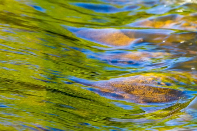 der-grossteil-der-fluesse-und-seen-in-deutschland-si-cc0-pixabay-ltapsah-240712_download Der Großteil der Flüsse und Seen in Deutschland sind in keinem guten Zustand.