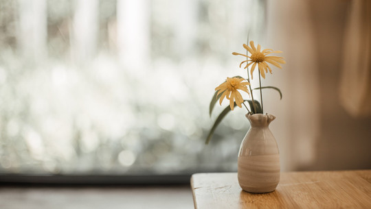 blumenvase-reinigen-cc0--pixabay--ymyphoto-250902 Blumenvase reinigen