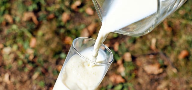 milch als dünger