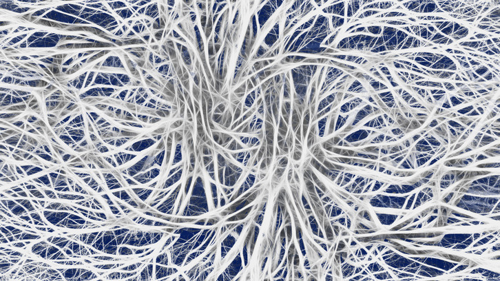 The human nervous system is complex.