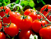 tomaten nachreifen