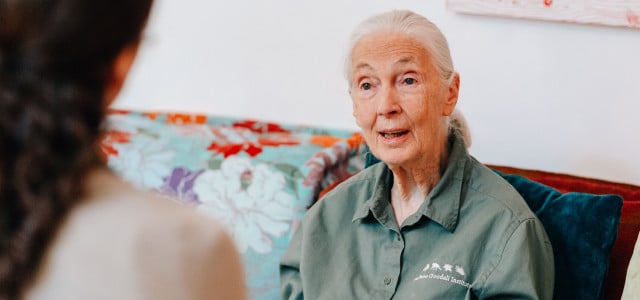 Jane Goodall Interview