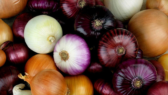 Rote, gelbe oder weiße Zwiebeln: Welche sind am gesündesten? Rote oder weiße Zwiebeln