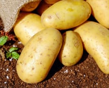 Kartoffeln grillen: Eine leckere Beilage vom Grill