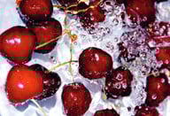 darf-man-zu-kirschen-wasser-trinken-heutzutage-ke-cc0-pixabay-moiranazzari-200917_download Darf man zu Kirschen Wasser trinken? Heutzutage kein Problem.