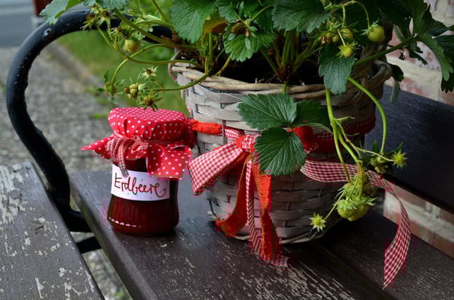 wenn-du-haengeerdbeeren-regelmaessig-giesst-und-duengst-cc0-pixabay-congerdesign-190625_download Wenn du Hängeerdbeeren regelmäßig gießt und düngst, kannst du bereits im Juni die ersten Früchte ernten.