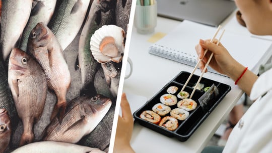 Mikroplastik, Schwermetalle und Co.: Wie gesund ist es heute noch, Fisch zu essen? Fisch