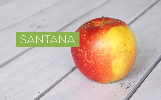 Apfel Santana Apfel Santana