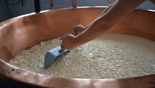 kaese-ohne-lab-cc0-pixabay-dyhuettner-191117 käse ohne lab