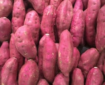 Süßkartoffeln pflanzen: Tipps für Anbau, Pflege und Ernte