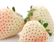 weiße Erdbeere