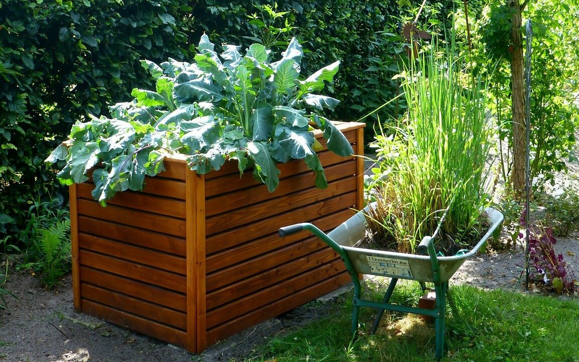 Gemsegarten planen: So kannst du einen Nutzgarten anlegen - Utopia.de
