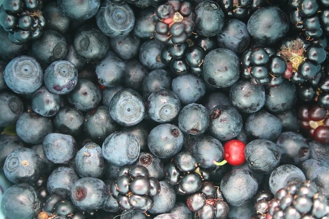 Local berry varieties sometimes have the same effect as Haskap.