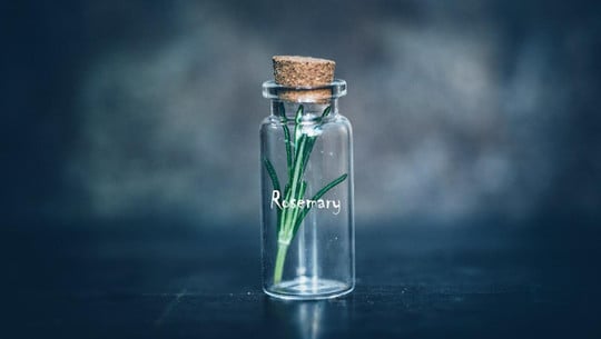 rosmarin-wasser-cc0-public-domain-pexels-wendy-van-zyl-230626 Rosmarin-Wasser