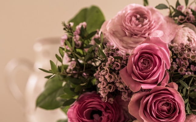 mit-den-richtigen-tipps-kannst-du-rosen-laenger-hal-colourboxdemagic-pitzy-240129 Mit den richtigen Tipps kannst du Rosen länger haltbar machen.