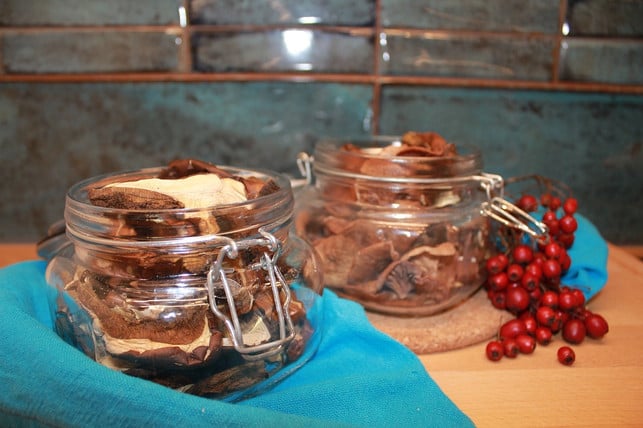 verschiedene-pilzarten-lassen-sich-gut-trocknen-cc0-pixabay-halibaba-210831_download Verschiedene Pilzarten lassen sich gut trocknen.