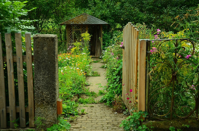 auch-in-deinem-garten-freuen-sich-insekten-und-co-cc0-pixabay-congerdesign-191230_download Auch in deinem Garten freuen sich Insekten und Co. über Totholz.