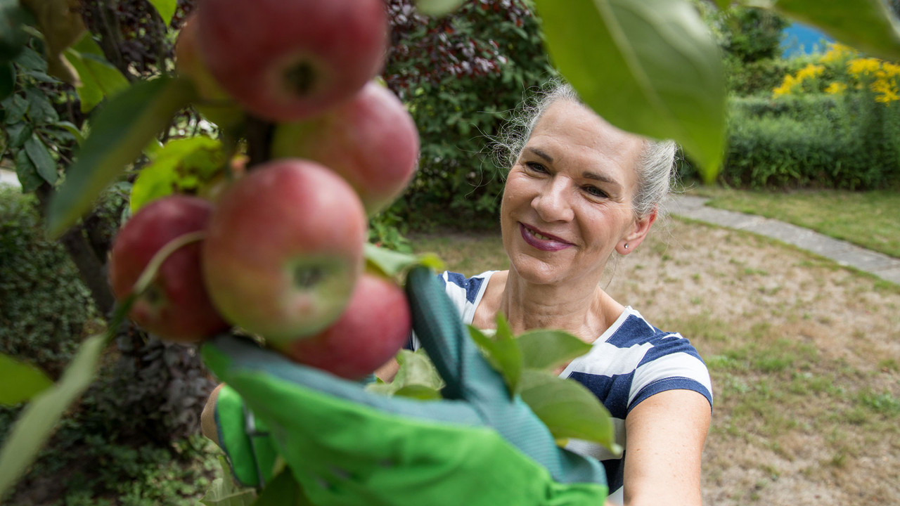 Obstbaum pflanzen im Frhling: Das musst du jetzt beachten