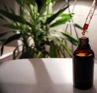 im-rahmen-einer-pflanzlichen-ernaehrung-solltest-du-cc0-pixabay-ml_photography-201017_download Im Rahmen einer pflanzlichen Ernährung solltest du Vitamin B12 in jedem Fall supplementieren.
