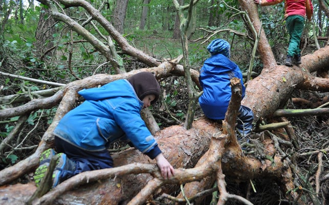 waldkindergarten-waldkindergarten-klein-hundorf-11092018-1280x800 Waldkindergarten: Spielen ohne Dach und Wände