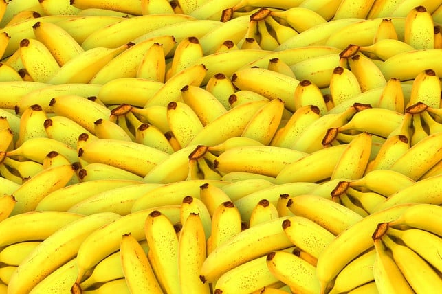 mit-oder-ohne-bananenfaeden-bananen-sind-beliebt-cc0-pixabay-thedigitalartist-221208_download Mit oder ohne Bananenfäden: Bananen sind beliebt, jedoch leider alles Andere als nachhaltig.