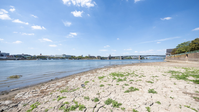 Hessen, Mainz-Kastel: Blick vom ausgetrockneten Rheinufer auf Mainz. Durch geringen Niederschlag und anhaltend hohe Temperaturen ist der Wasserstand im Rhein stark gesunken.