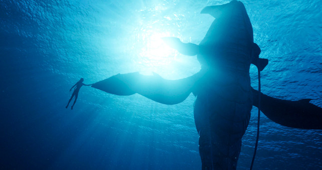 James Cameron über „Avatar 2“: „Wenn ich nicht vegan wäre, könnte ich das nicht“ Avatar 2 vegan