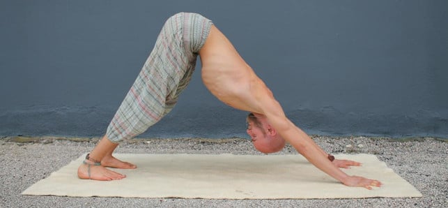 der-herabschauende-hund-im-yoga-eine-der-bekannt-pascal-thiele-utopiade-190111_download Der herabschauende Hund im Yoga – eine der bekanntesten Posen.
