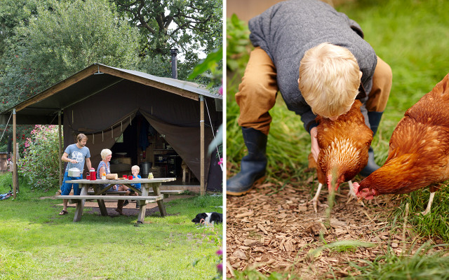 good-travel-z-arche-hof-170220-1280x800 Urlaub mit Kindern, Arche Hof