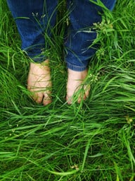 Barefoot walking is probably the simplest and easiest type of grounding to implement.