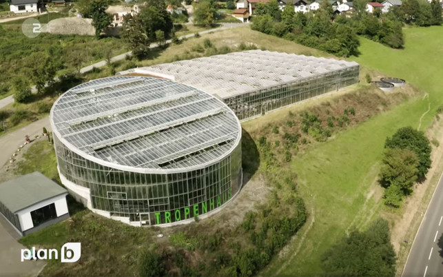 Klein-Eden-s-ZDF-plan-b-20211124-1280x800 In diesen 3.500 Quadratmeter großem Tropenhaus konnten die Wissenschaftler:innen bereits zwei Tonnen Tropenfrüchte in einem Jahr ernten.