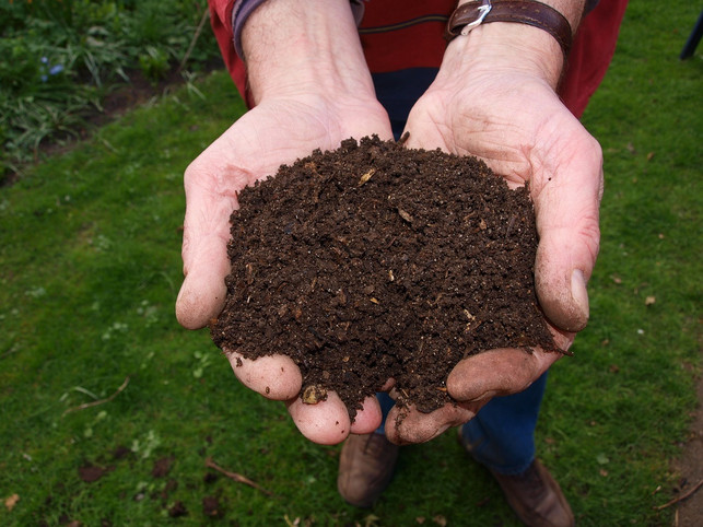 im-kompost-tummeln-sich-zahlreiche-mikroorganismen-cc0-pixabay-jokevanderleij8-240208_download Im Kompost tummeln sich zahlreiche Mikroorganismen und Insekten.