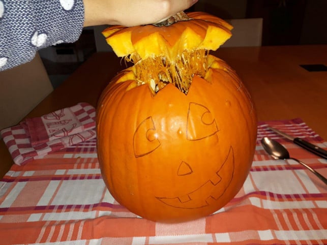 entferne-das-faserige-innere-und-die-kerne-maren-fischer-utopia-181026_download Entferne vor dem Kürbis schnitzen das Fruchtfleisch und die Kerne.