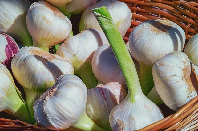 der-knoblauchdip-schmeckt-besonders-intensiv-mit-f-cc0-pixabay-couleur-241220_download Der Knoblauchdip schmeckt besonders intensiv mit frisch geerntetem Knoblauch.