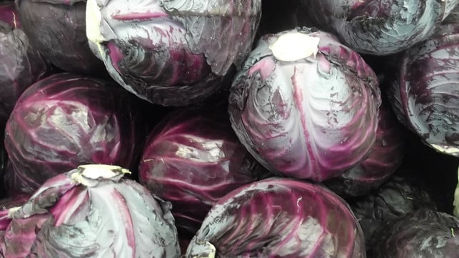 rotkohl-ist-ein-typisches-wintergemuese-cc0-pixabay-appleberryblues-190904_download Rotkohl ist ein typisches Wintergemüse.