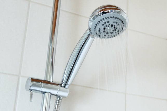 A fresh shower reduces the risk of braking to be attracted by your body odor.