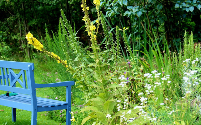 ein-gartenteich-ist-fuer-viele-menschen-ein-ort-der-cc0-pixabay-counselling-180926 Ein Gartenteich ist für viele Menschen ein Ort der Ruhe und Entspannung