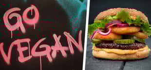Vegane Aha-Momente aus der Redaktion