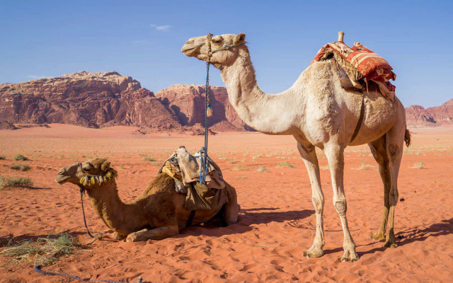 Reisetipps Urlaubstipps Tourismus Reisen Urlaub Reisetipps Urlaubstipps Tourismus Reisen Urlaub