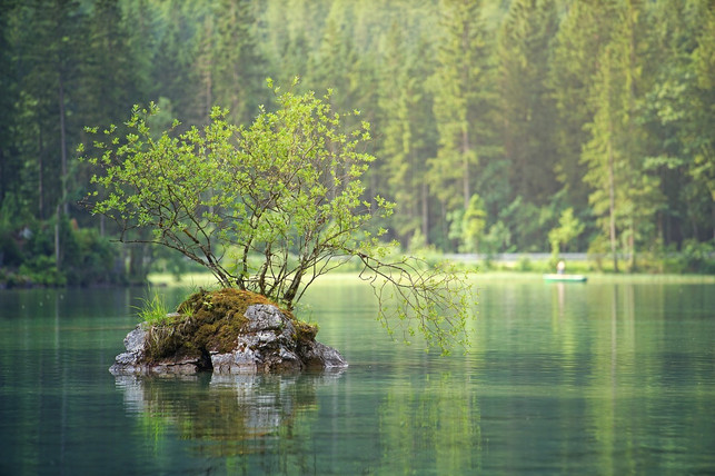das-kuehlmittel-der-waermepumpe-koennte-ins-grundwass-cc0-pixabay-jplenio-230829_download Das Kühlmittel der Wärmepumpe könnte ins Grundwasser auslaufen.