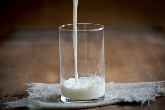 grundlage-fuer-skyr-frische-bio-milch-cc0-pixabay-pezibear-180327_download Eine wichtige Grundlage für die Herstellung von hausgemachtem Skyr ist entrahmte Milch.