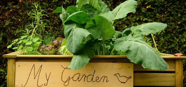 Hochbeet überwintern