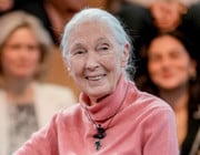 Jane Goodall wird 90: "Zum Glück war ich nicht an der Uni"