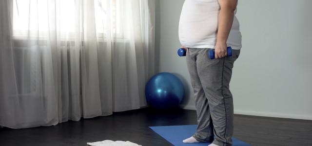 Dickmacher Umweltgifte: Wie Eltern epigenetisches Übergewicht an Kinder vererben