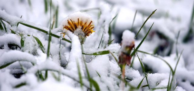 Frostgare: Fachleute warnen vor zu wenig Bodenfrost