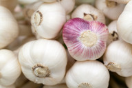 soll-fuer-die-haare-gut-sein-knoblauch-cc0-pixabay-publicdomainpictures-190316_download Soll für die Haare gut sein: Knoblauch.