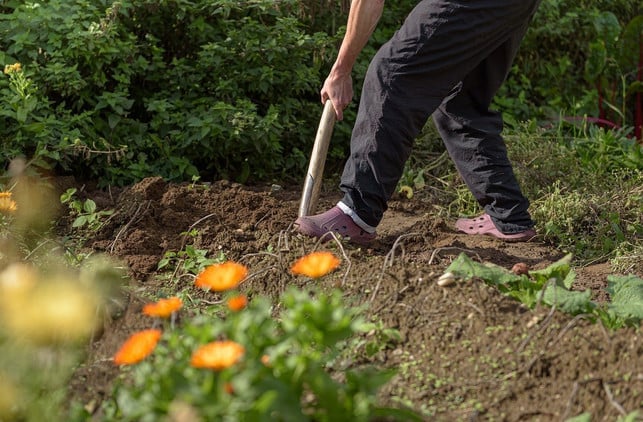 Garten umgraben Zeitpunkt, Geräte und Anleitung Utopia.de