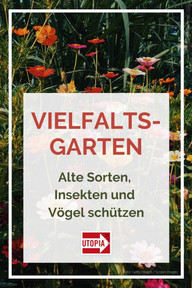 pin-it-foto-getty-images-scopio-images-200511_download Pin it!